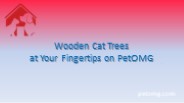Wooden Cat Trees at Your Fingertips on PetOMG