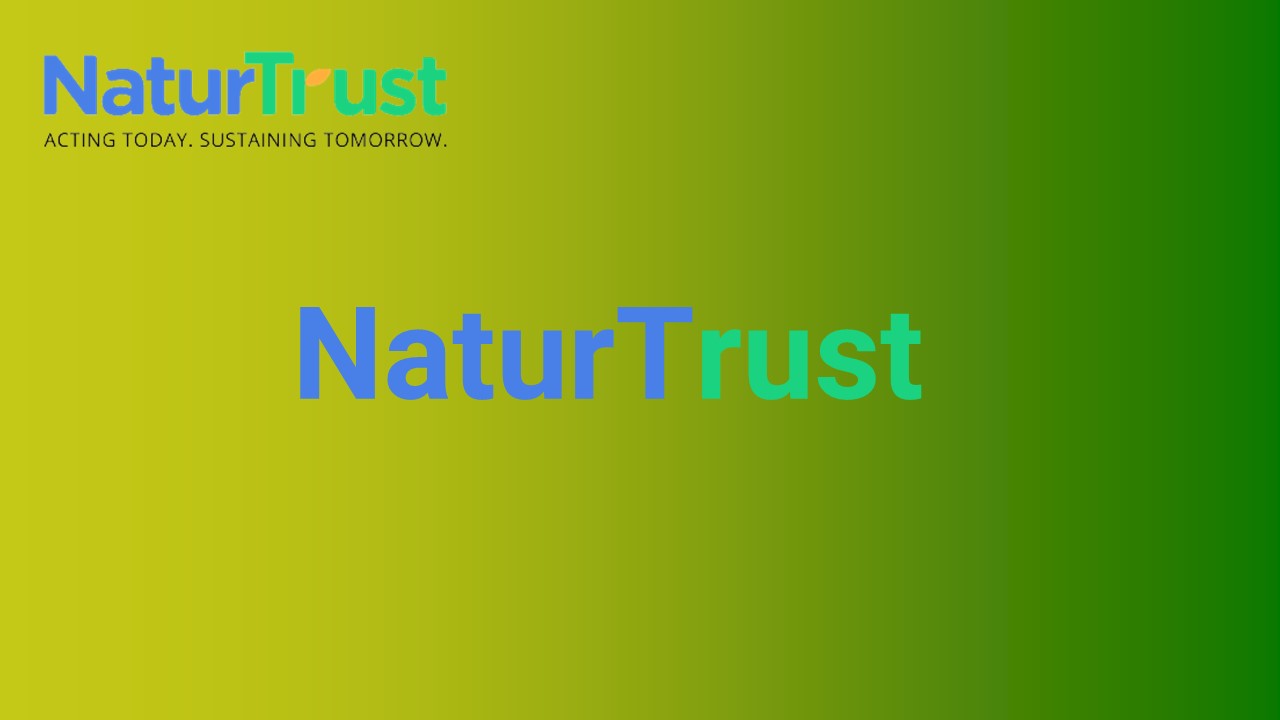 Best Biodegradable Vegetable Bags - Naturtrust