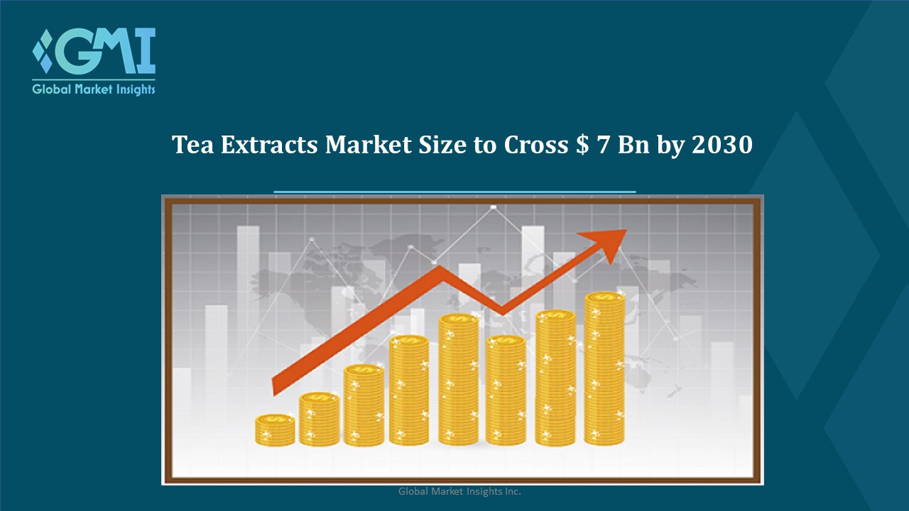 Tea Extracts Market Dynamics Analysis 2024