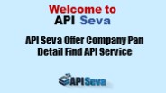 API Seva Offer Company Pan Detail Find API Service