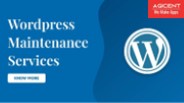 WordPress Maintenance Services