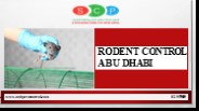 Rodent Control Abu Dhabi