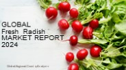 Fresh Radish Market Report 2024