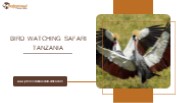 Bird Watching Safari Tanzania