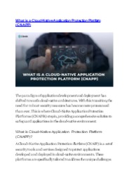 What is a Cloud-Native Application Protection Platform (CNAPP)