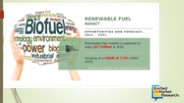 renewable fuel market