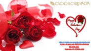 Valentines Gift Box Chocolate | Cacao and Cardamom