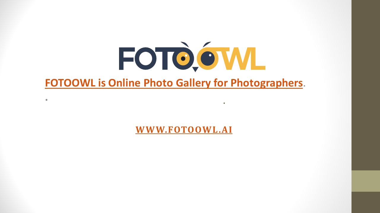 FOTOOWL is Online Photo Gallery for Photographers.