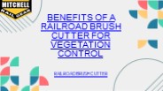 Railroad Brush Cutter for Vegetation Control