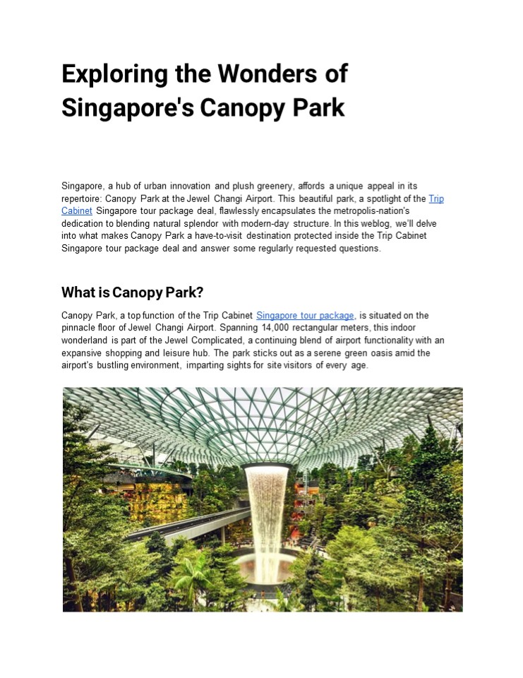 Exploring the Wonders of Singapore’s Canopy Park