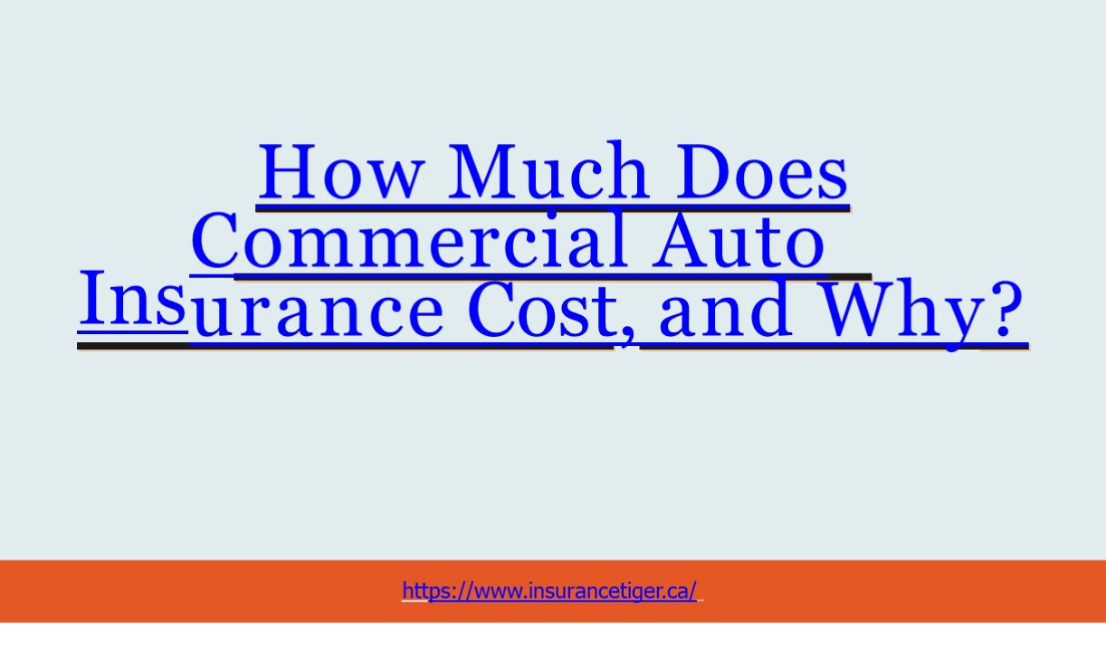 How much commercial auto insurance cost and why?