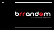 Company Overview Brrandom
