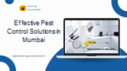 Effective Pest Control Solutions in Mumbai