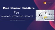 Pest Control Solutions for Mumbai's Effective Results