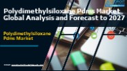 Global PDMS Market Industry Landscape Overview