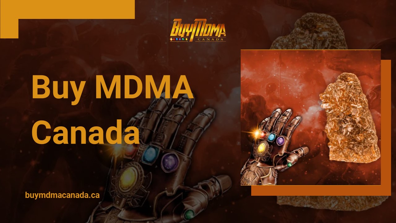 All You Need to Know About Albino Magic Mushrooms