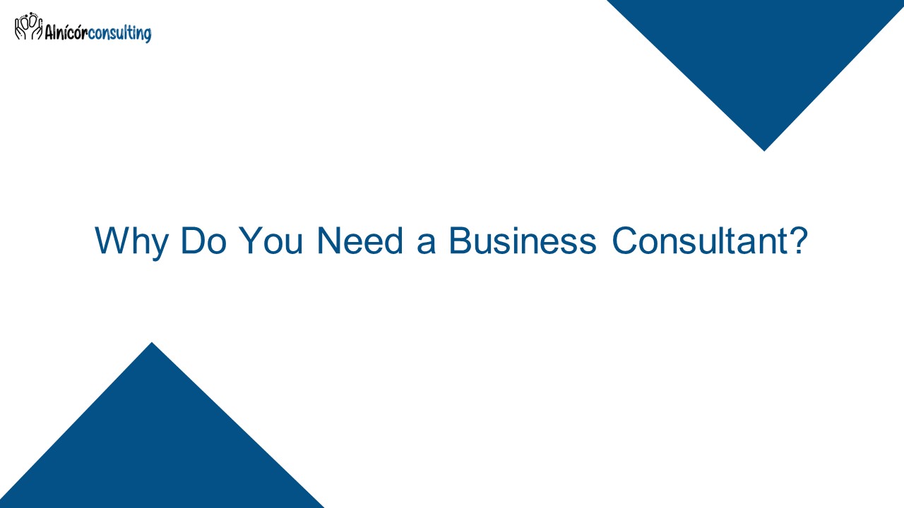 Why Do You Need a Business Consultant? (1)