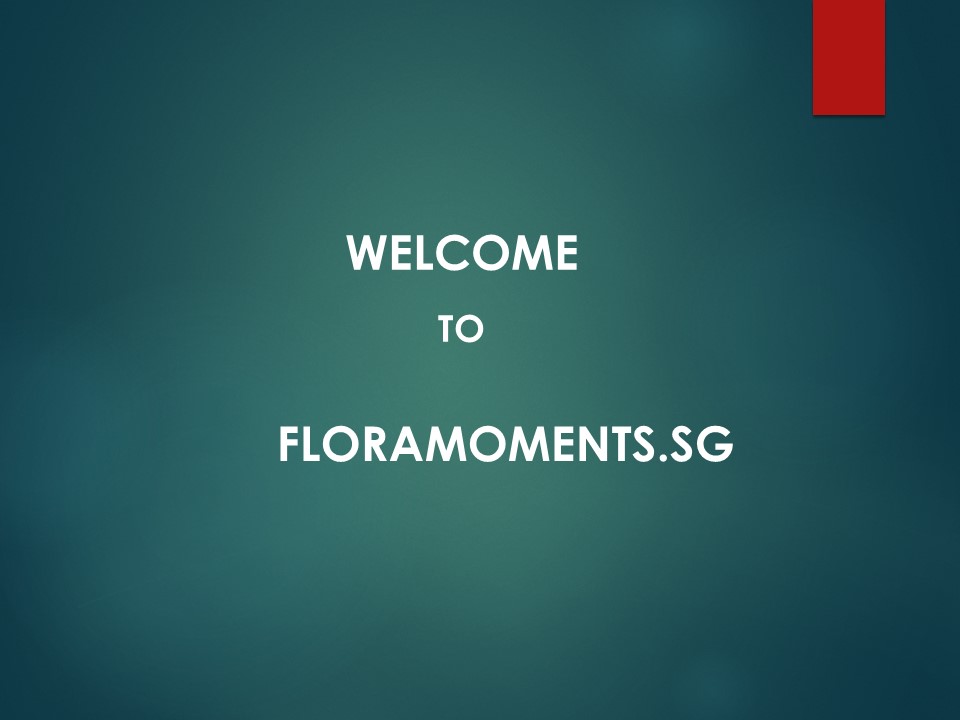 Best Flower Bouquet in Straits View