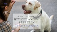 Get Emotional Support Animal Letter in Pennsylvania