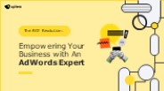Hire Google Ads Expert