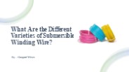 What Are the Different Varieties of Submersible Winding Wire?