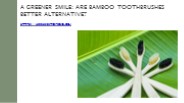 A Greener Smile: Are Bamboo Toothbrushes Better Alternative?