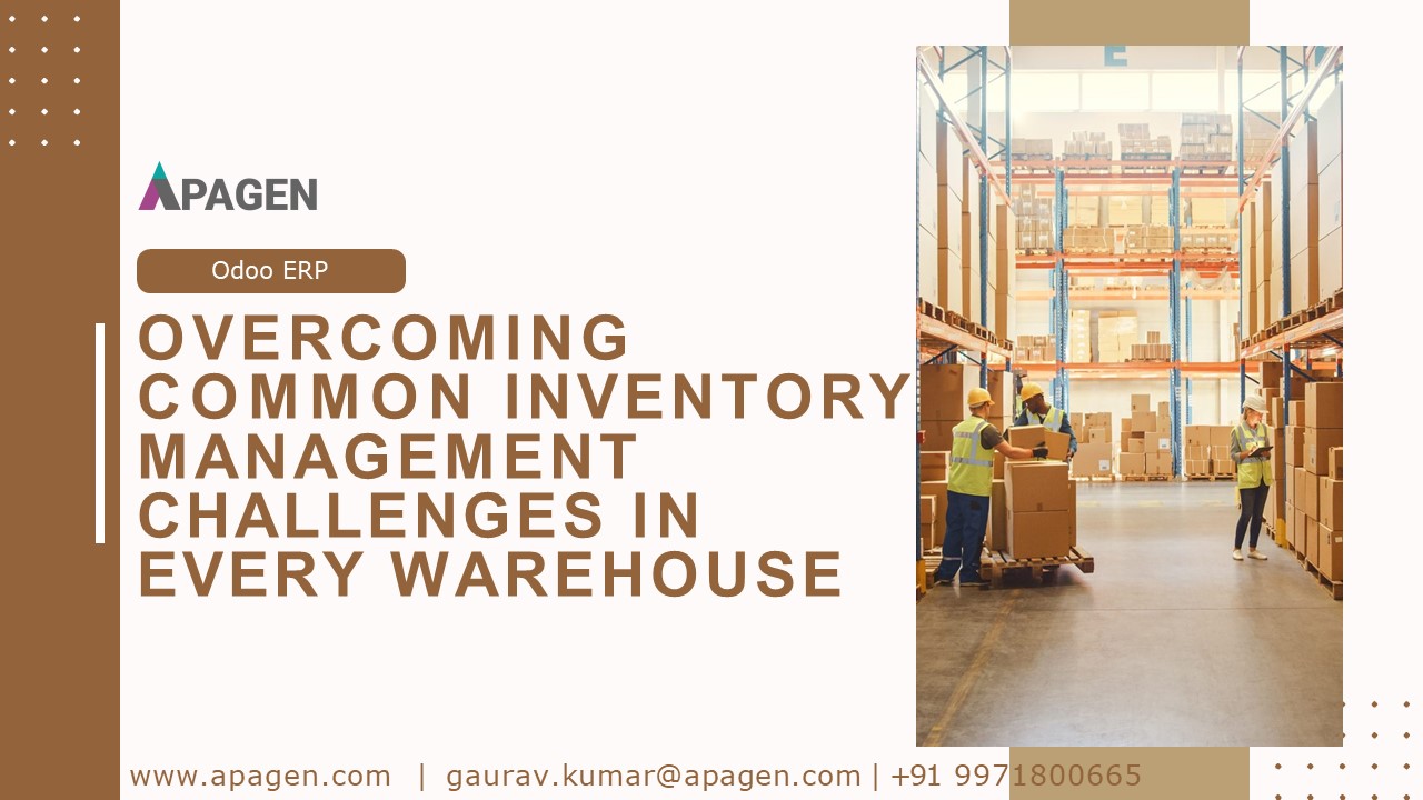 Overcoming Common Inventory Management Challenges in Every Warehouse