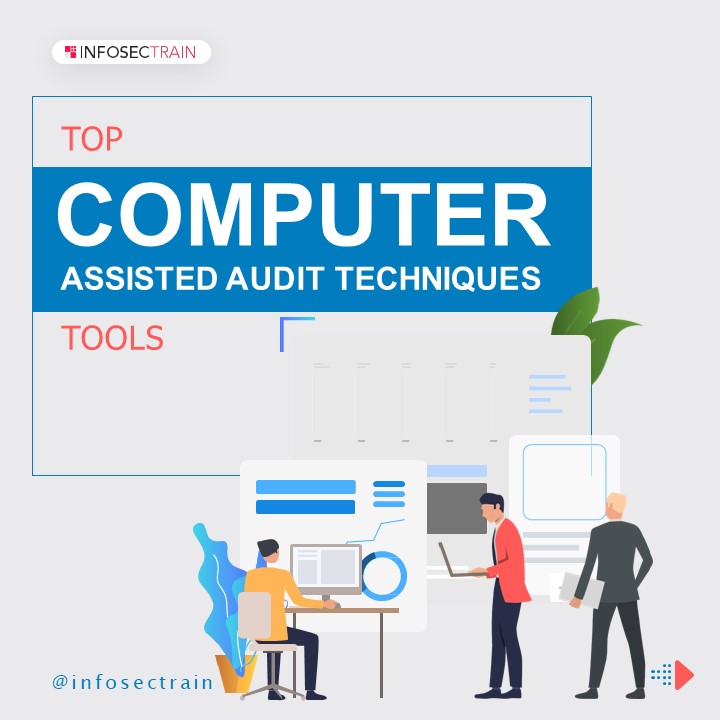 Computer Assisted Audit Techniques (2)