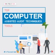 Computer Assisted Audit Techniques (2)