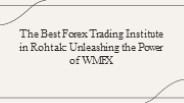 Top Forex Trading institute in Rohtak