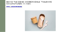 Behind the Scenes: Biodegradable Tableware Manufacturers in India