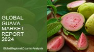 Guava Market Report 2024