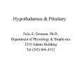 Hypothalamus PowerPoint PPT Presentation