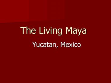 The Living Maya