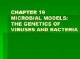 CHAPTER 19 MICROBIAL MODELS: THE GENETICS OF VIRUSES AND BACTERIA PowerPoint PPT Presentation