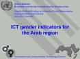 ICT gender indicators for the Arab region PowerPoint PPT Presentation