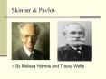 Skinner PowerPoint PPT Presentation
