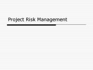 Project Risk Management