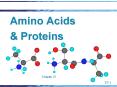 Amino Acids PowerPoint PPT Presentation