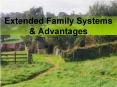 Extended Family Systems PowerPoint PPT Presentation