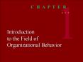 Introduction to the Field of Organizational Behavior PowerPoint PPT Presentation