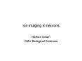 Ion imaging in neurons PowerPoint PPT Presentation