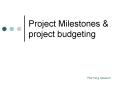 Project Milestones PowerPoint PPT Presentation