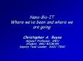 NanoBioIT Where weve been and where we are going PowerPoint PPT Presentation