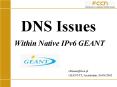 DNS Issues PowerPoint PPT Presentation