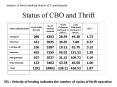 Status of CBO and Thrift PowerPoint PPT Presentation