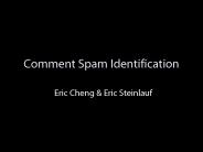 Comment Spam Identification