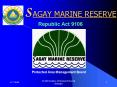 SAGAY MARINE RESERVE PowerPoint PPT Presentation