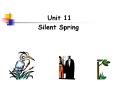 Silent Spring PowerPoint PPT Presentation