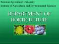 DEPARTMENT OF HORTICULTURE PowerPoint PPT Presentation